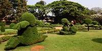 bangalore botanical garden