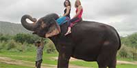 elephant safari in kotri